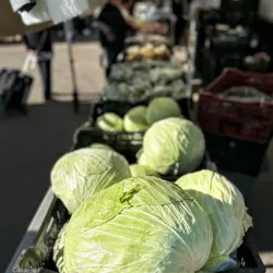 Leduc Farmers Market - Leduc