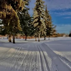 Leduc Golf Club - Leduc