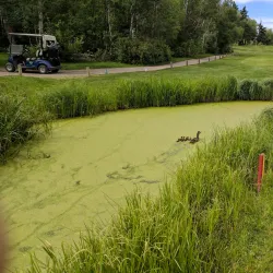 Leduc Golf Club - Leduc