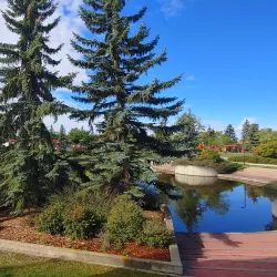 Leduc Public Library - Leduc