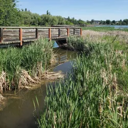 Telford Lake Park - Leduc