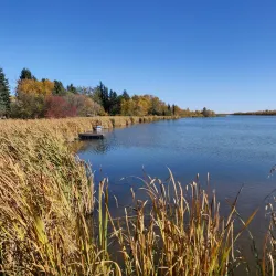 Telford Lake Park - Leduc
