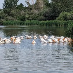Telford Lake Park - Leduc