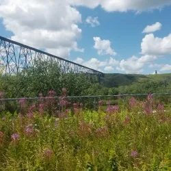 Helen Schuler Coulee Trails - Lethbridge