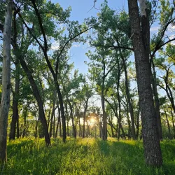 Helen Schuler Nature Centre - Lethbridge