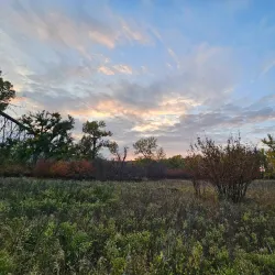 Helen Schuler Nature Centre - Lethbridge