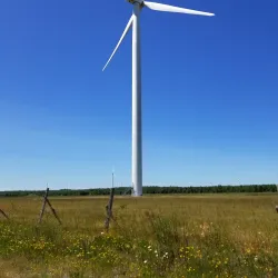 Manitoulin Island Hiking Trails - Little Current