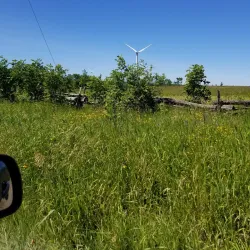 Manitoulin Island Hiking Trails - Little Current