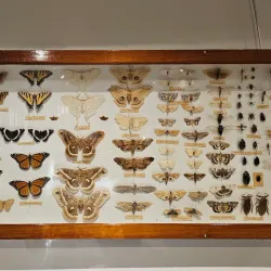 Manitoulin Island Museum - Little Current