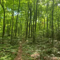 Mississagi Provincial Park - Little Current