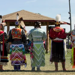 Wikwemikong Heritage Organization - Little Current