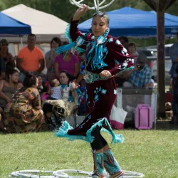 Wikwemikong Heritage Organization - Little Current