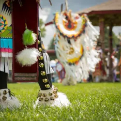 Wikwemikong Heritage Organization - Little Current