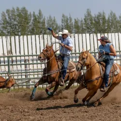 Lloydminster Exhibition Grounds - Lloydminster