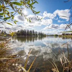 Victoria Park - Lloydminster