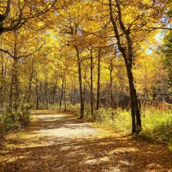 Victoria Park - Lloydminster