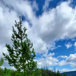Gwillim Lake Provincial Park - Mackenzie
