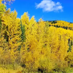 Gwillim Lake Provincial Park - Mackenzie