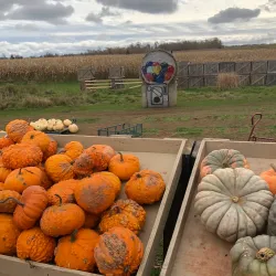 Mackenzie Farmers Market - Mackenzie