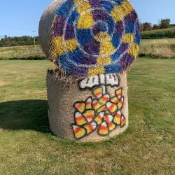 Mackenzie Farmers Market - Mackenzie