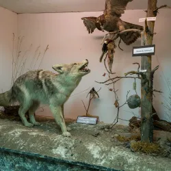 Mackenzie Heritage Museum - Mackenzie