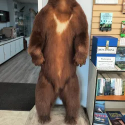 Mackenzie Heritage Museum - Mackenzie