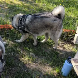 Mackenzie Recreation Centre - Mackenzie