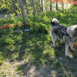 Mackenzie Recreation Centre - Mackenzie