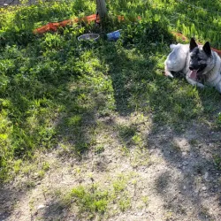 Mackenzie Recreation Centre - Mackenzie