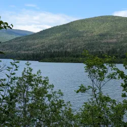 Morfee Lake - Mackenzie