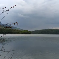 Morfee Lake - Mackenzie