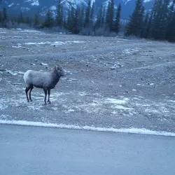 Williston Lake - Mackenzie