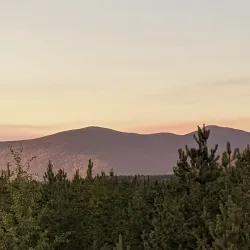 Williston Lake - Mackenzie