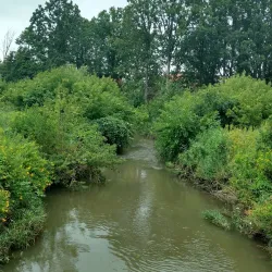 Malton Arena - Malton