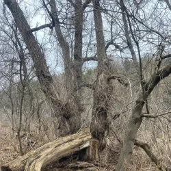 Malton Heritage Trail - Malton