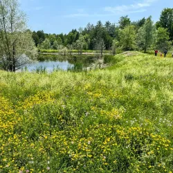 Malton Heritage Trail - Malton