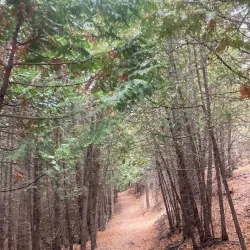 Malton Heritage Trail - Malton