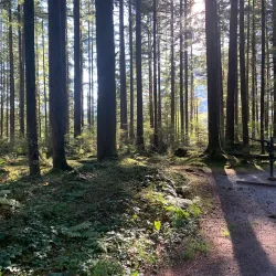 Alouette Lake - Maple Ridge