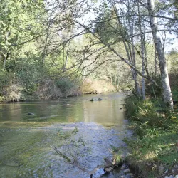 Alouette River Management Society (ARMS) Nature Trails - Maple Ridge