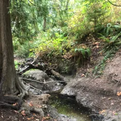 Alouette River Management Society (ARMS) Nature Trails - Maple Ridge