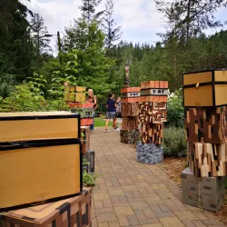 Alouette River Management Society (ARMS) Nature Trails - Maple Ridge