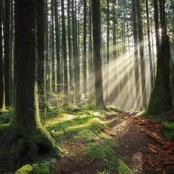 Golden Ears Provincial Park - Maple Ridge