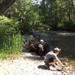 Kanaka Creek Regional Park - Maple Ridge