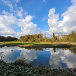 Kanaka Creek Regional Park - Maple Ridge