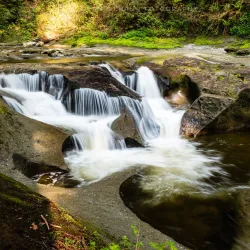 Kanaka Creek Regional Park - Maple Ridge