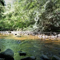 Kanaka Creek Regional Park - Maple Ridge