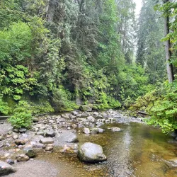 Kanaka Creek Regional Park - Maple Ridge