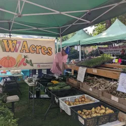 Maple Ridge Farmers Market - Maple Ridge