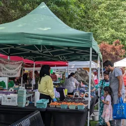 Maple Ridge Farmers Market - Maple Ridge