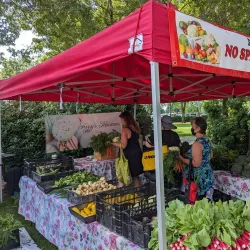 Maple Ridge Farmers Market - Maple Ridge
